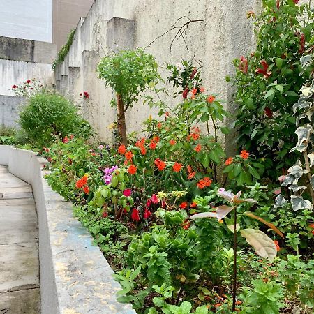 205- Apartamento 1 Quarto Suite, Encantador, Amplo E Decorado, Mobiliario Moderno, Cozinha Completa Com Utensilios , Excelente Vista Da Cidade E Localizacao Privelegiada No Bairro Bigorrilho , Curitiba Exterior foto